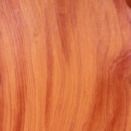 Maple medium közepes juhar öntapadós tapéta 67,5cmx15m