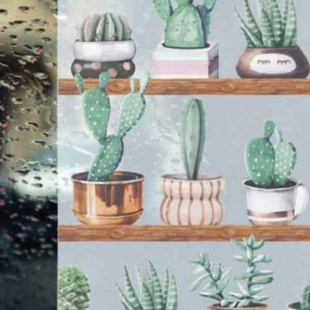 Kaktusz sztatikus üvegdekor ablakfólia 67,5cmx1,5m