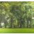 Prémium PANORÁMA