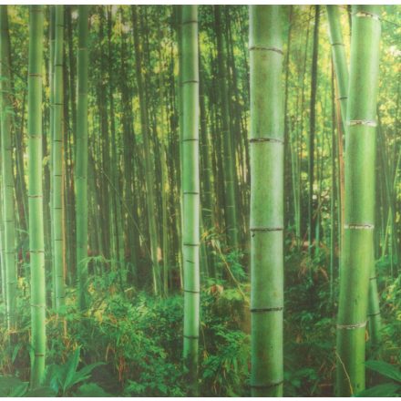 Prémium PANORAMA BAMBOO sztatikus ablakfólia 67,5cm x 1,5m