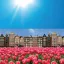 Prémium PANORAMA DUTCH SPRING sztatikus ablakfólia 67,5cm x 1,5m