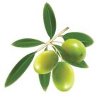 Konyhai csempematrica  zöldség kollekció 8db/szett15x15cm