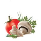 Konyhai csempematrica  zöldség kollekció 8db/szett15x15cm