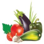 Konyhai csempematrica  zöldség kollekció 8db/szett15x15cm