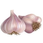 Konyhai csempematrica  zöldség kollekció 8db/szett15x15cm