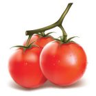 Konyhai csempematrica  zöldség kollekció 8db/szett15x15cm