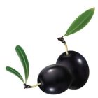 Konyhai csempematrica  zöldség kollekció 8db/szett15x15cm