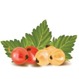 MT024 öntapadós konyhai csempematrica 4db/szett15x15cm