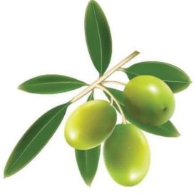   Olajbogyó mintás dekorációs csempematrica 4db/szett15x15cm