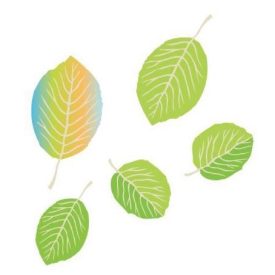 MT056 öntapadós konyhai csempematrica 4db/szett15x15cm