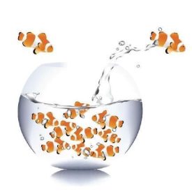   MT068 öntapadós fürdőszobai csempematrica 4db/szett15x15cm