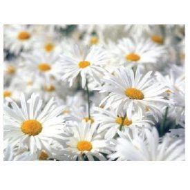 MT101 öntapadós konyhai csempematrica 4db/szett15x15cm