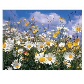 MT102 öntapadós konyhai csempematrica 4db/szett15x15cm