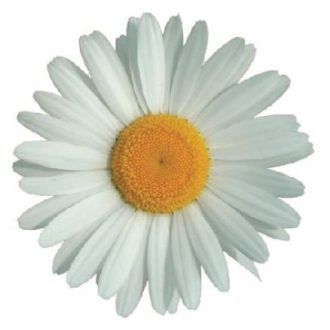 MT107 öntapadós konyhai csempematrica 4db/szett15x15cm