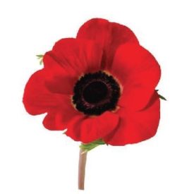 MT109 öntapadós konyhai csempematrica 4db/szett15x15cm