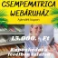 Ajándékkártya 15.000