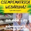 Ajándékkártya 30.000 Ft