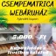 Ajándékkártya 5000