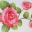 Rózsák dekorációs falmatrica 32x69cm