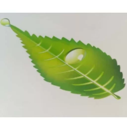 Zen dekorációs falmatrica 32x69cm