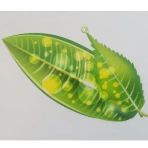 Zen dekorációs falmatrica 32x69cm