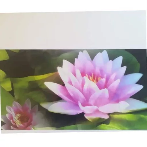 Tavirózsák dekorációs falmatrica 32x69cm