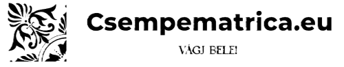 logo.webp
